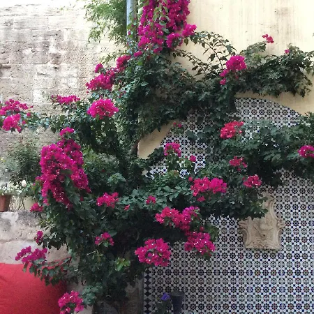 Le Clos Du Rempart Bed & Breakfast Avignon